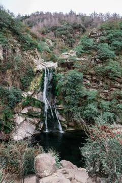 View of a complete waterfall in a forest Stock Photos
