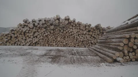 View of the composition of the tree on the sawmill Stock Footage 199574099
