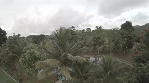 View of compound garden on mountain Stock Footage 62527279