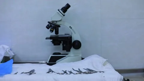 A view of compound light microscope insi... | Stock Video | Pond5