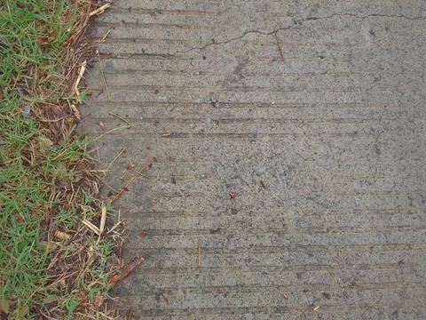 View of a concrete path with horizontal lines and a section of green grass .. Stock Photos