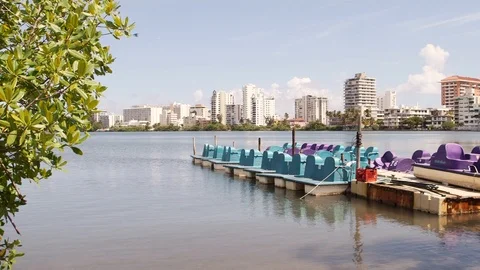 View of the Condado Lagoon from the dock Stock Footage 88225529