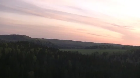 View of the coniferous forest from the height of a large rock. Stock Footage 129692114