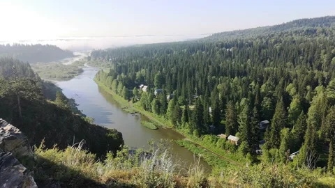 View of the coniferous forest from the height of a large rock. Stock Footage 131723743