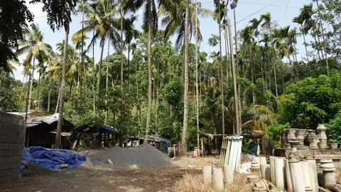 View of construction material surrounded by trees in forest Stock Footage 156970733