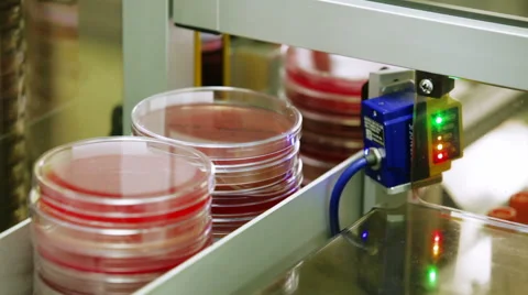 View of Containers Filled With Blood in the Background of Automated Conveyor. Stock Footage 61008080