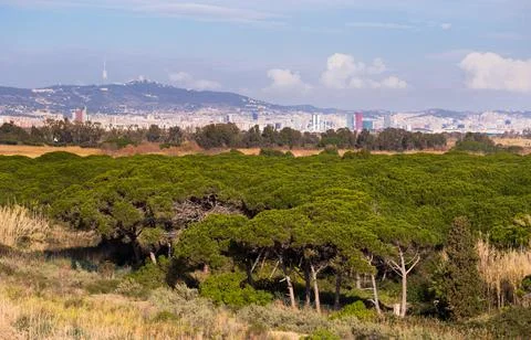 View of the control tower of El Prat airport in Barcelona. Catalonia Stock Photos