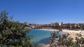 View of Coogee beach, behind bushes, on a sunny summer day, in Sydney, Austra Stock Footage 86043252