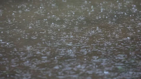 View cool rain Stock Footage 240513101