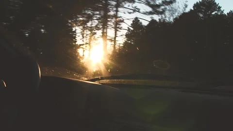 VIEW OF COPILOT IN A CAR WATCHING THE SUNSET BETWEEN THE TREES Stock Footage 96383260