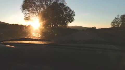 VIEW OF COPILOT IN A CAR WATCHING THE SUNSET BETWEEN THE TREES Stock Footage 96383516