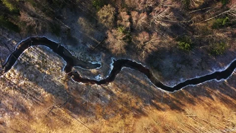 View from the copter down on a narrow river in the forest on the edges of which Stock Footage 139824790
