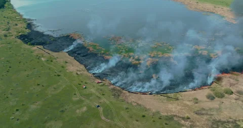View from the copter, ecological disaster, fire, burning field. Putting out a Stock-Footage 194590060