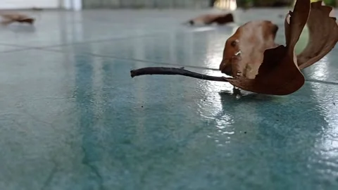A view from the corner of blue floor tiles Stock Footage 137067087