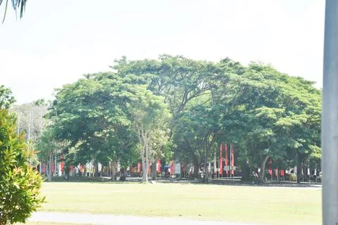 View of a corner of the field Stock Photos