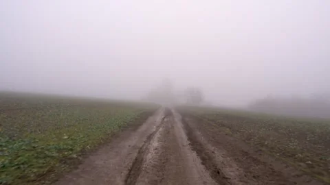 View of a country road in spring, summer, autumn and winter. Vídeo Stock 330585405