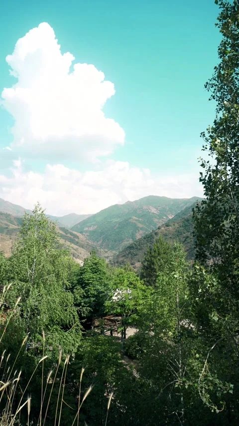 A view of the countryside can be seen from the top Stock Footage 254459828