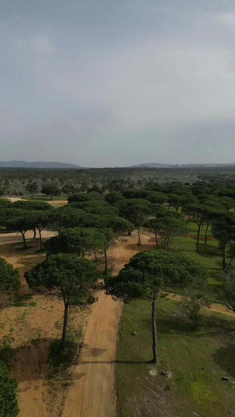 View of countryside Stock Footage 299135243