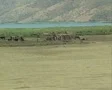 View of countryside with nomad village SD Footage