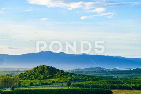 View of countryside on sunshine day, blue sky and white clouds. Beautiful sum Stock Photos