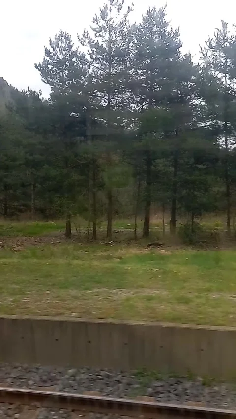 View of the countryside from the train Stock Footage 308996581