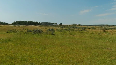 View of the countryside in Uruguay. Stock Footage 87722228