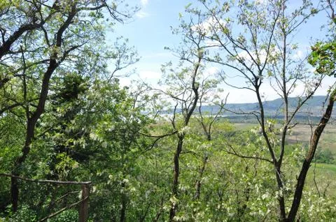 View of the countyside Stock Photos