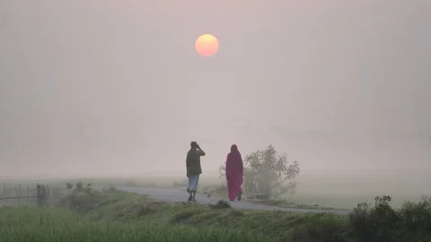 View of a couple walking on a rural path at sunrise, Bangladesh. Vídeo Stock 335596315