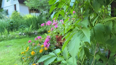 View from a Cozy Garden Swing Over Summer Backyard and Blooming Flowers Stock Footage 336606056