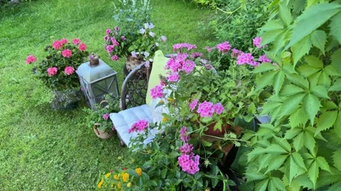 View from a Cozy Garden Swing Over Summer Backyard and Blooming Flowers Stock Footage 336606095