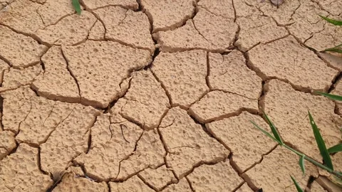 View of cracked clay in the village Stock Footage 342082274