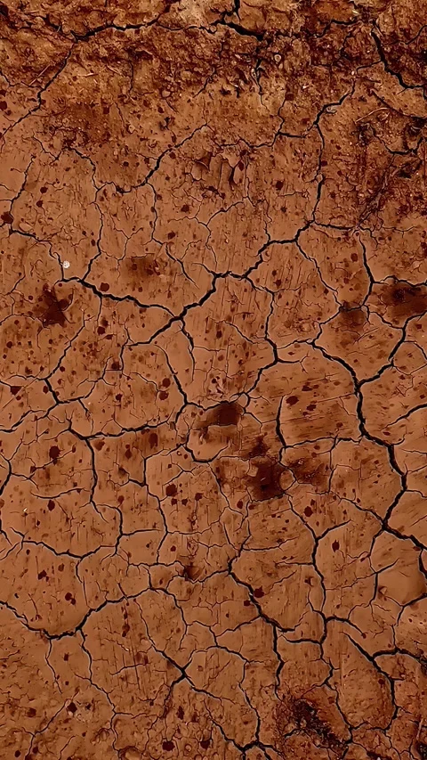 View of cracked earth in Latvia. Stock-Footage 340642943