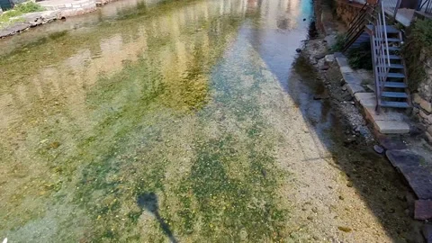 View of the creek with ducks Stock Footage 138799539