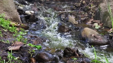 View of the creek in the park between the grass and the rocks Stock Footage 277970484