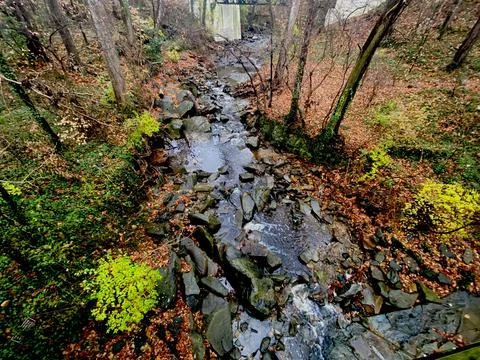 View of Creek Under a Bridge Stock Photos