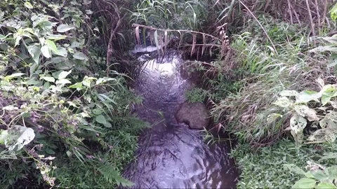 View Of The Creek By The Waterfall, Mountain Forest, Banaue, Luzon, Philippines Stock Footage 235337237