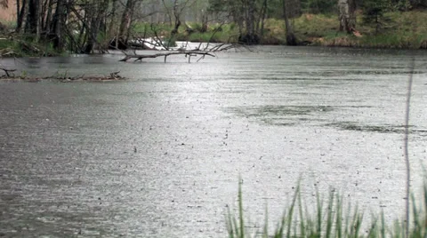 View of a creek when it rains Stock Footage 30662823