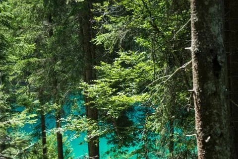 View of crestasee through the forest Stock Photos
