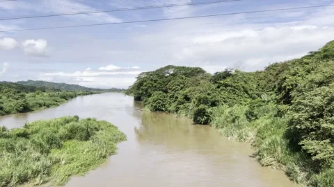 View from Crocodile Bridge Stock Footage 283793970