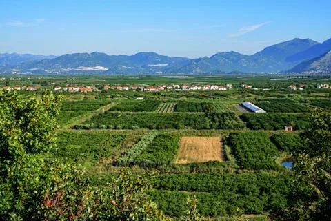 View of crop fields Stock-Fotos