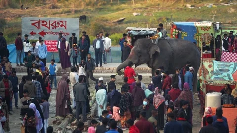 View of a crowd gathered around an elephant, Bangladesh. Video stock 335016012
