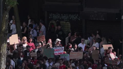 View of a crowd of protesters holding signs on a street in Porto, Portugal. Video stock 335026646