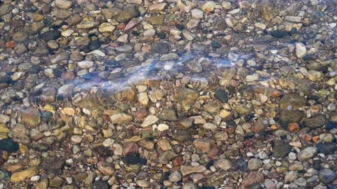 View into crystal clear clean water showing multi-colored rounded stones Stock Footage 172217860