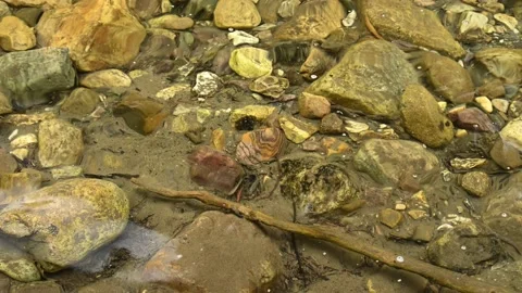 A view into a crystal clear mountain lake with colorful rocks under the water. Stock Footage 138711191