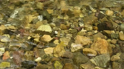 View into a crystal clear mountain stream with water flowing over multicolored r Stock Footage 138663411