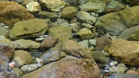 View into a crystal-clear mountain stream at the multi-colored stones  Stock Footage 144022703