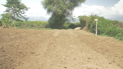 View of cultivated land Stock Footage 109206668