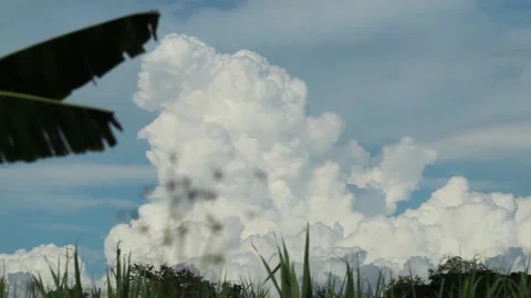 View of Cumulus clouds in the field Stock Footage 205245239