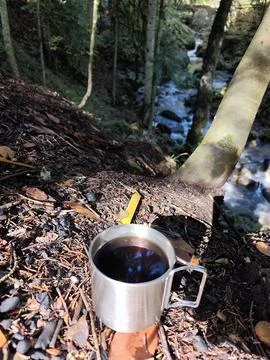 View of the cup  in autumn Stock Photos