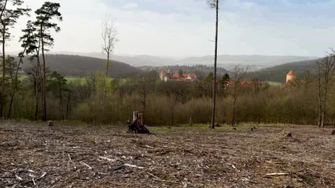 View Of The Cut Down Of A Forest Clearing. Veveri Castle In The Background Stock Footage 270521894